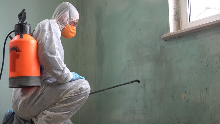 Why You Should Choose Our Mold Remediation Services in Gloucester City, NJ